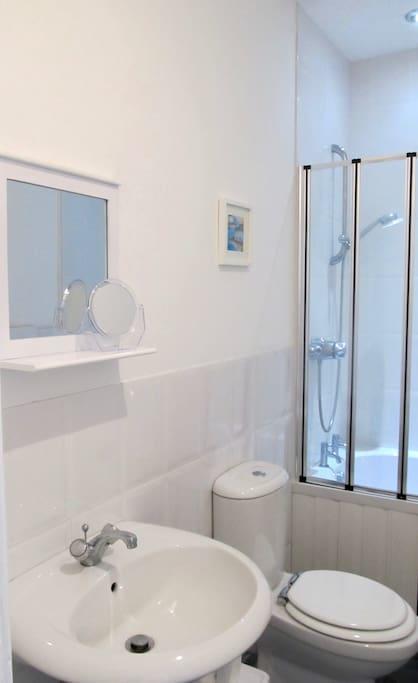 The Beatnik, Victorian Townhouse Apartment With Parking Plymouth Eksteriør bilde